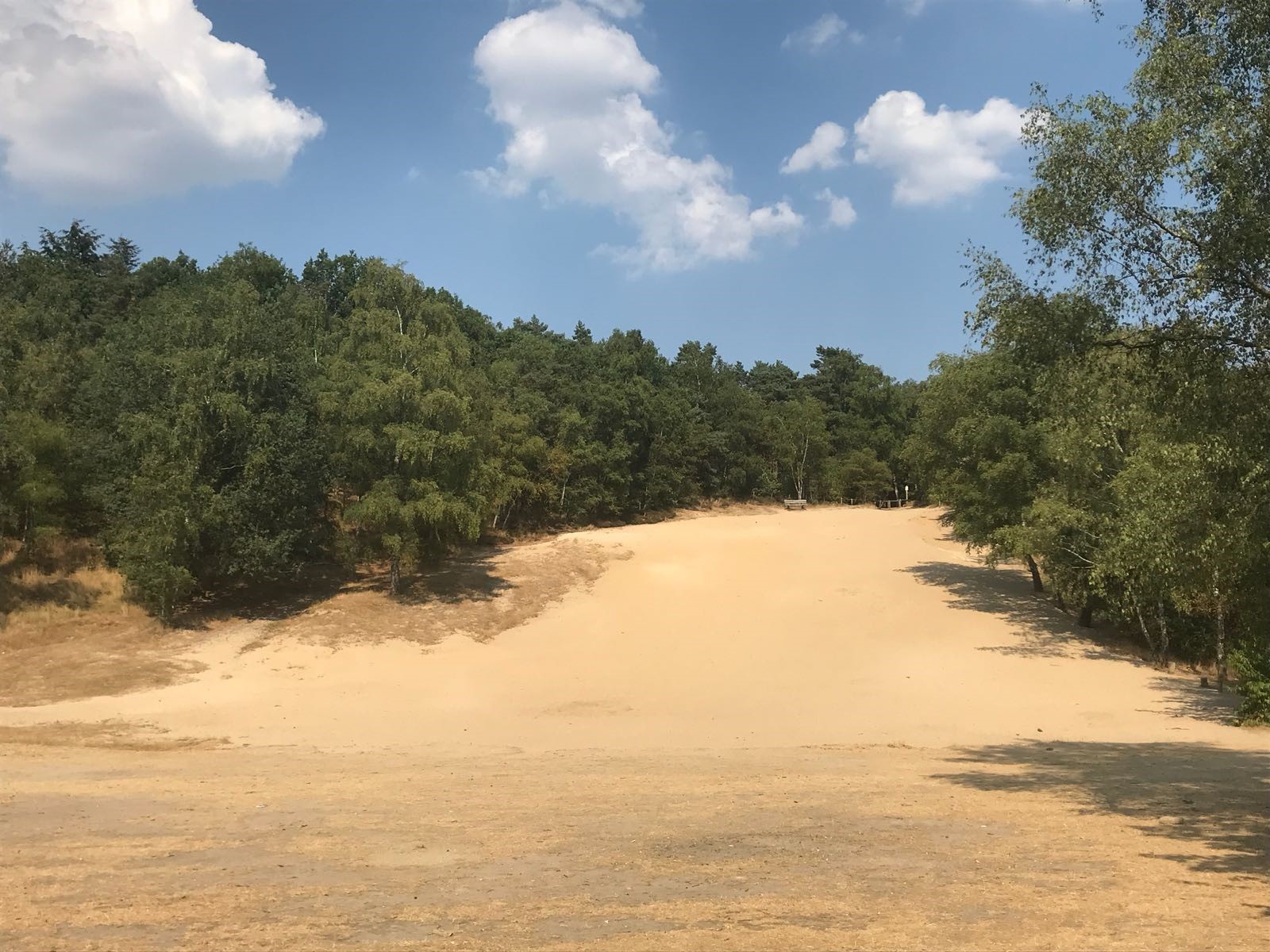 Train mee met Gert-Jan