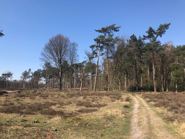 Afgelaste activiteiten